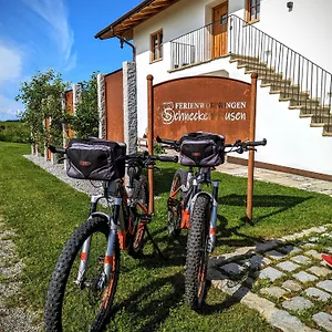  Apartment Schneckenhausen